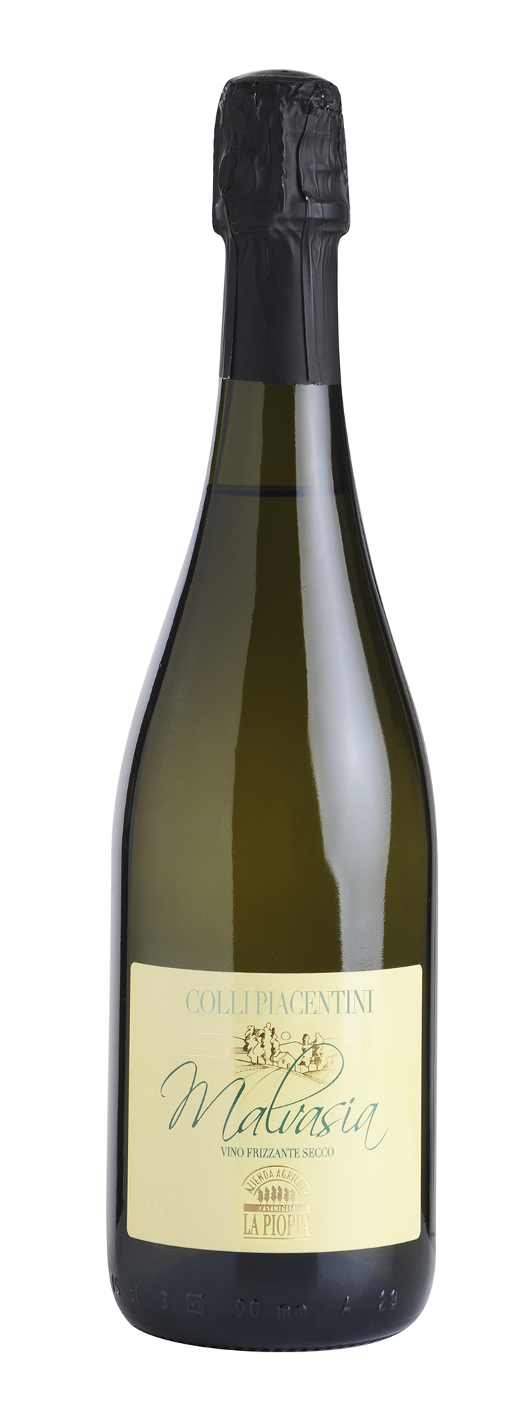 Malvasia Malvasia